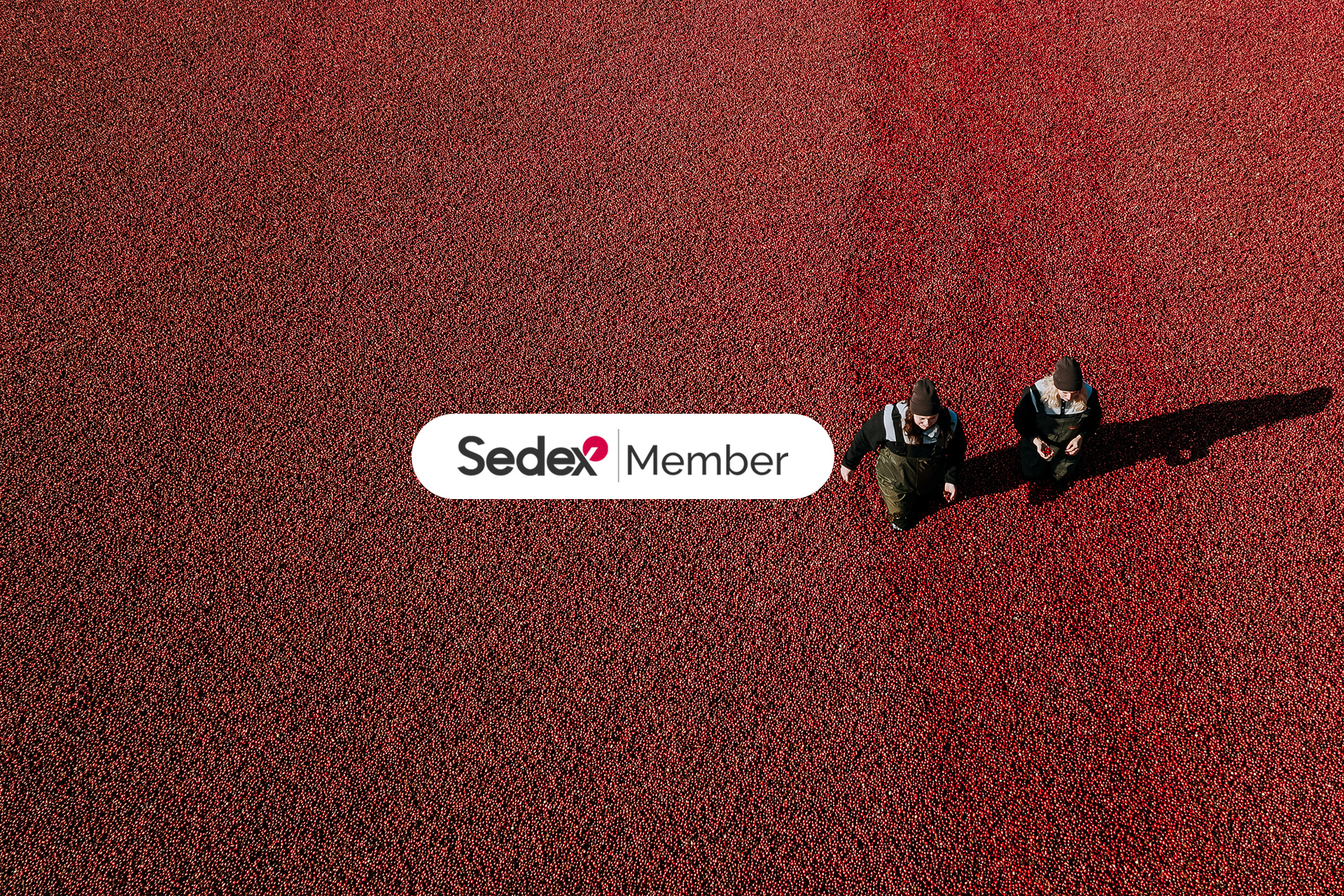 Fruit d’Or reaffirms its commitment to social responsibility with the successful completion of the SMETA 7.0 audit
