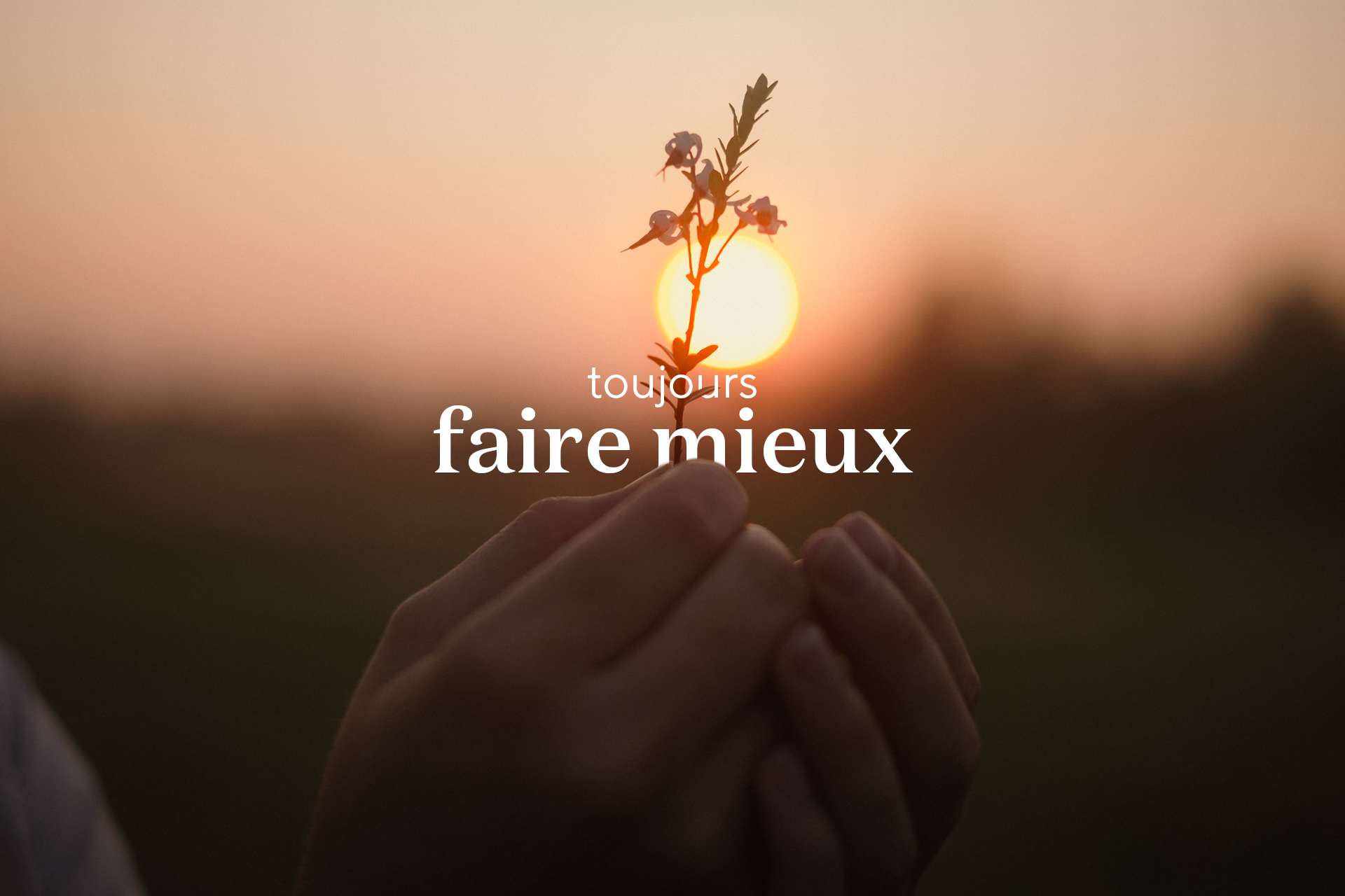 Dévoilement du Plan de Développement Durable 2024-2026 de Fruit d’Or